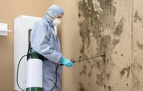 Best Air Quality Testing for Mold Spores  in English, IN